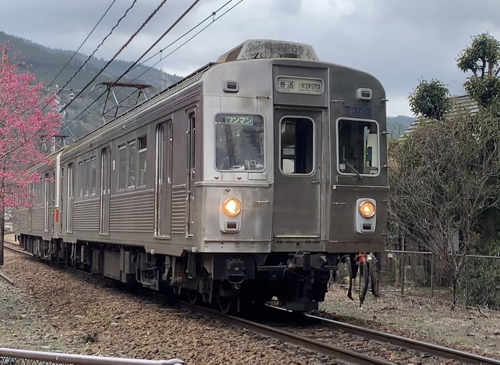 大きな模型に憧れて tweet media