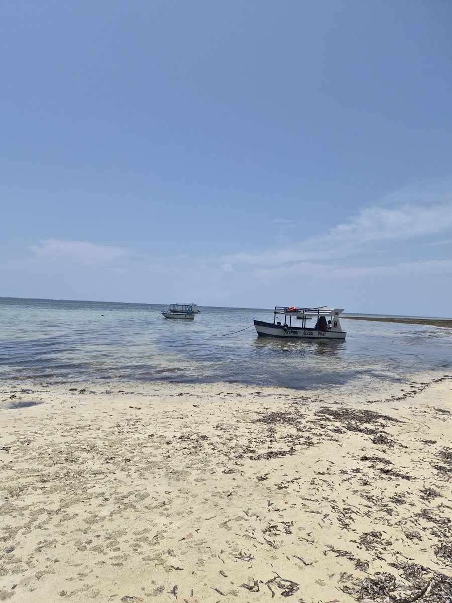 Red Dahlia tweet media