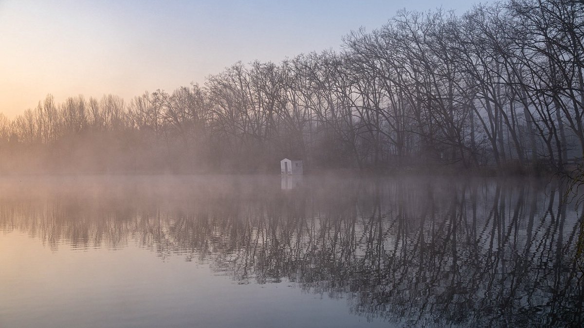 Silvia Puig Planells tweet media