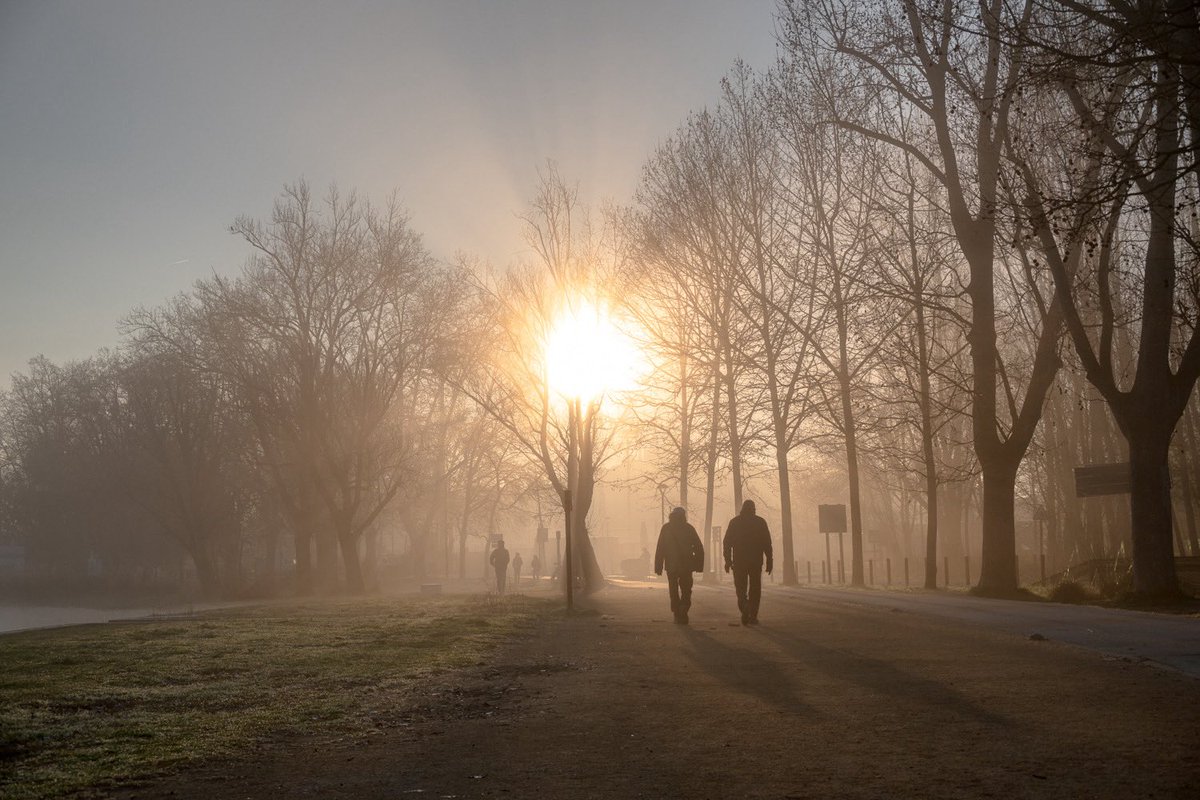 Silvia Puig Planells tweet media