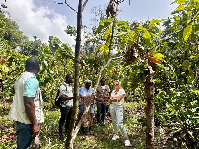 Embassy of Switzerland in Ghana tweet media