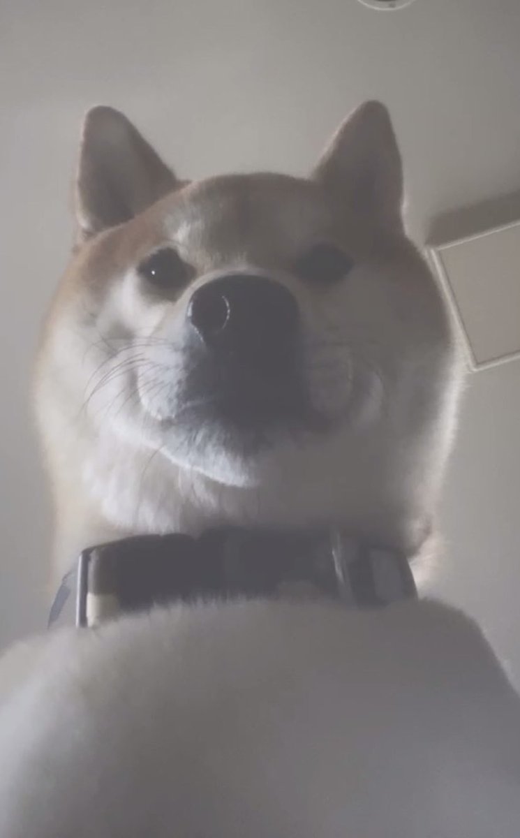 すみません、こんにちは1つお願いします