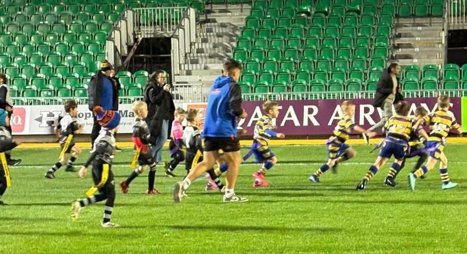 DRAGONS RFC COMMUNITY 🐉 tweet media