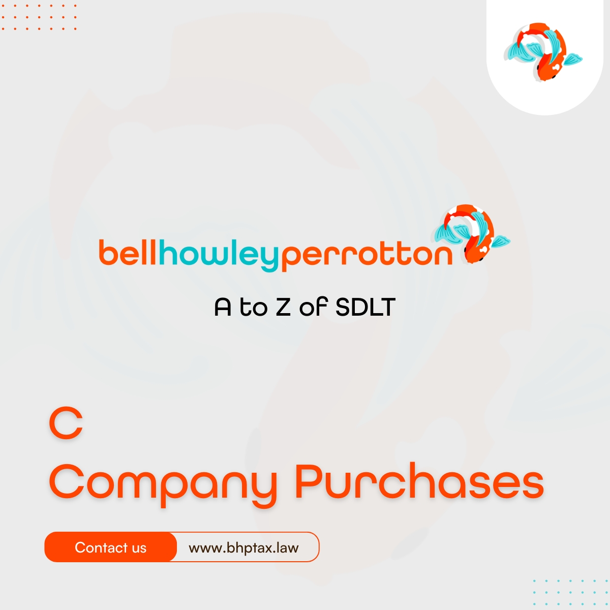 Bell Howley Perrotton tweet media