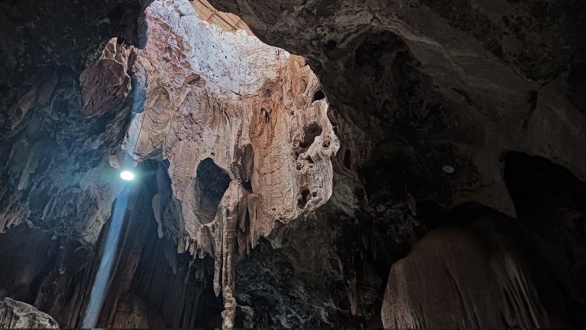 P. Ares🌟spacedog🐶🐾『Berlina•ECR』 tweet media