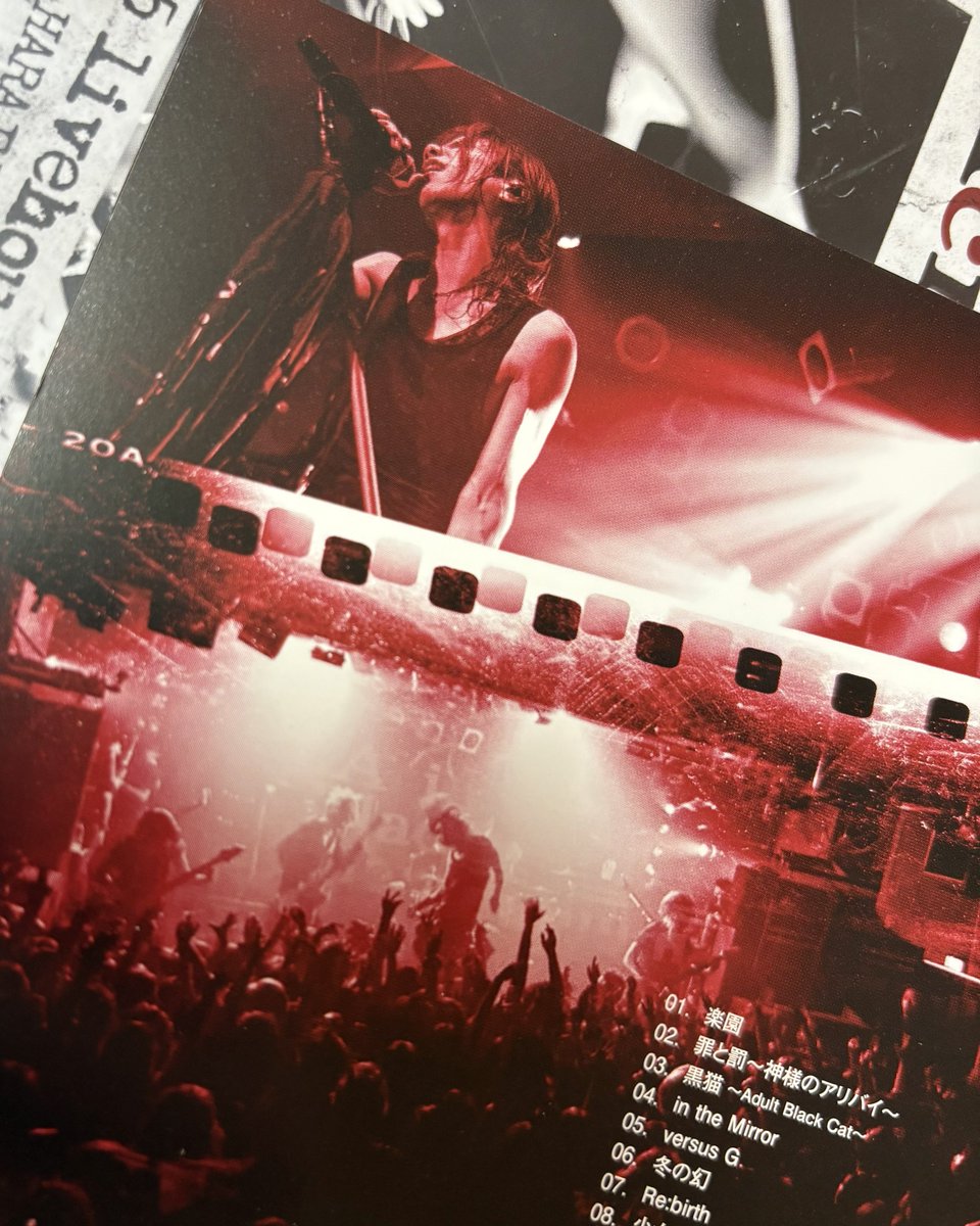 この時点で既にクリアファイル注文済