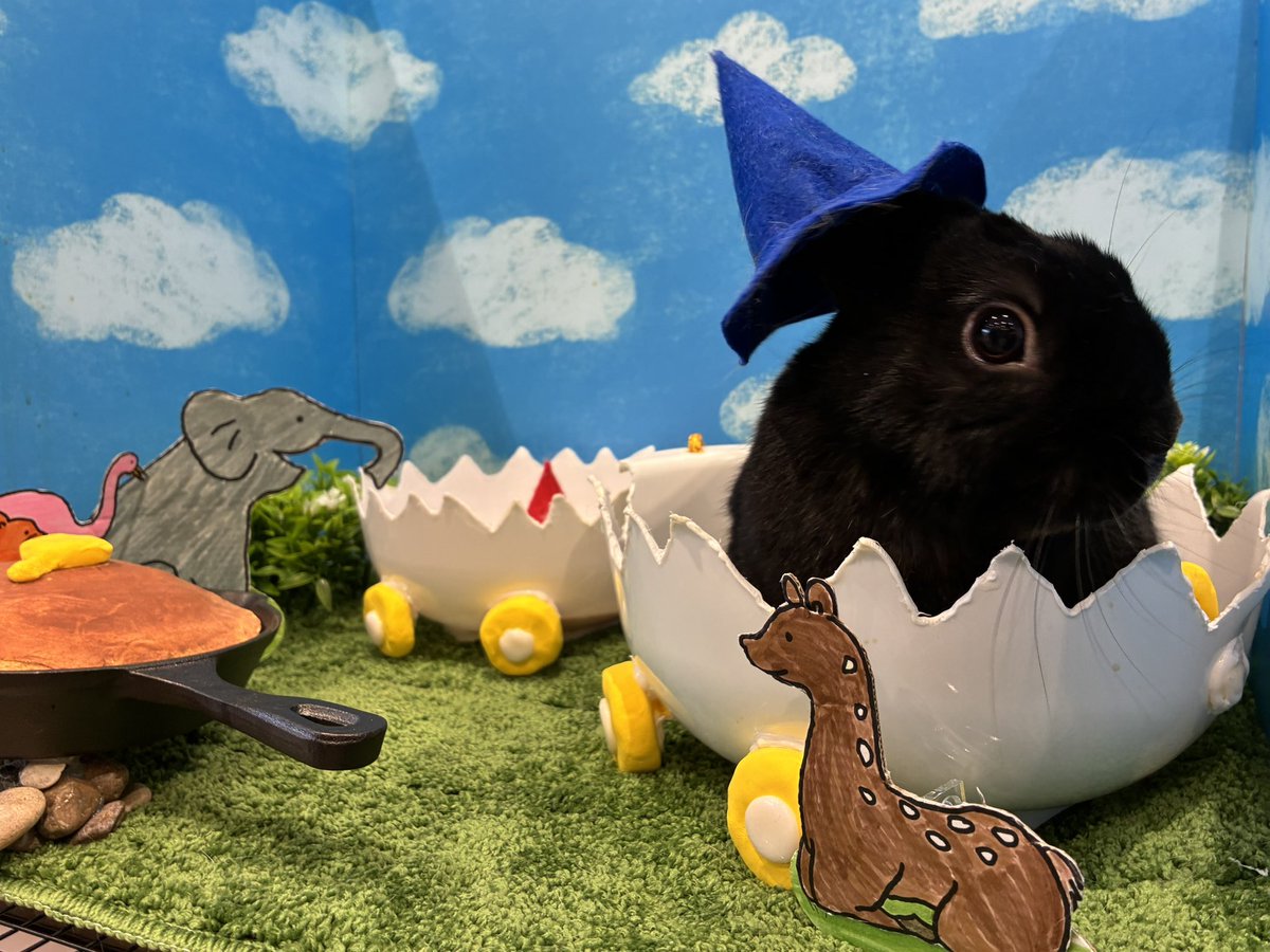 とんすけちゃん