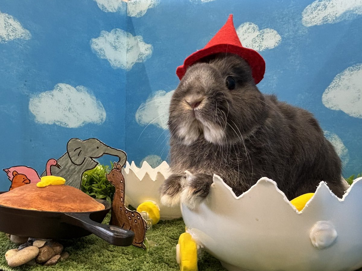 とんすけちゃん