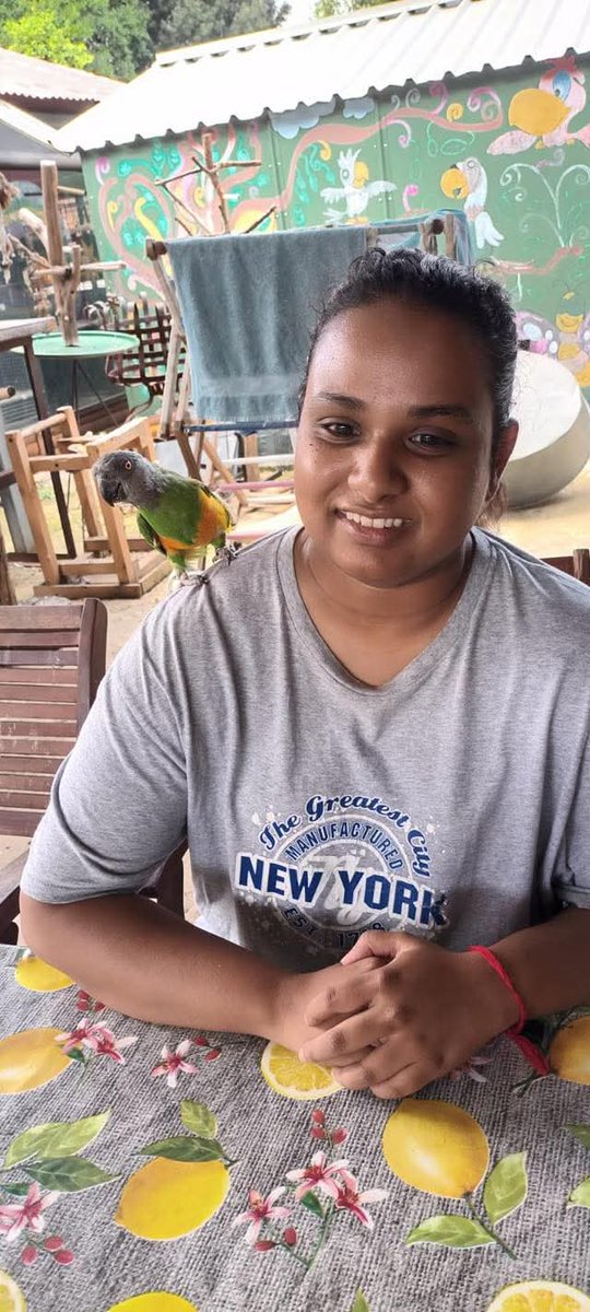 Brainy Birds SA tweet media