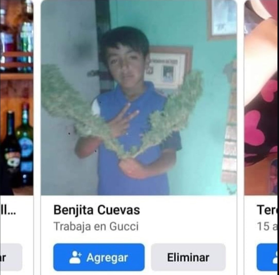 trabaja en gucci