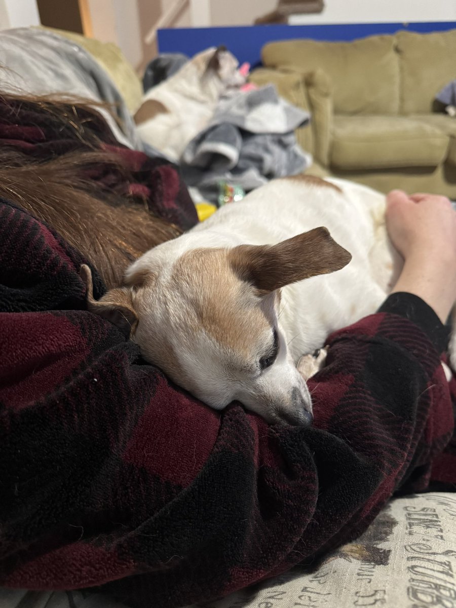 StabbyTimeTV tweet media