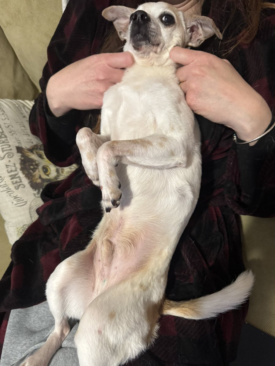 StabbyTimeTV tweet media