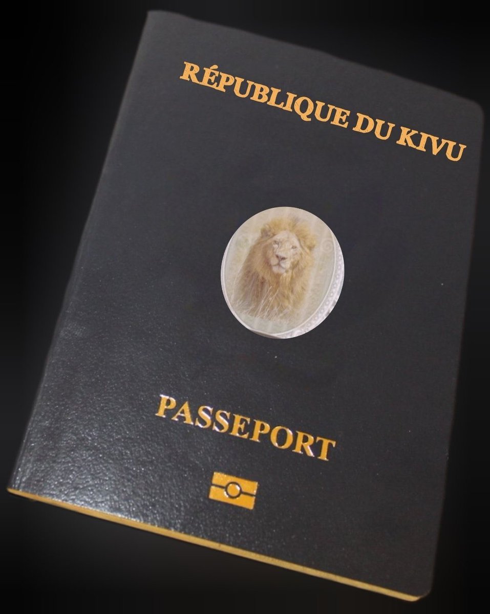 M23/AFC C'EST LA VIE🇨🇩🫡🦁✊ tweet media