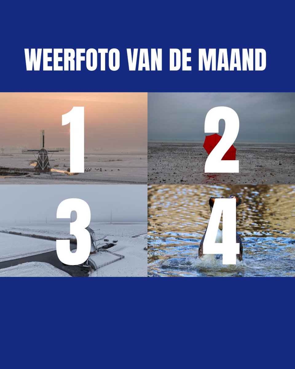 Buienradar tweet media