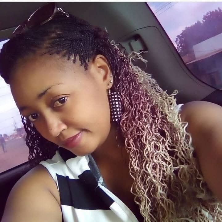 George T. Diano tweet media