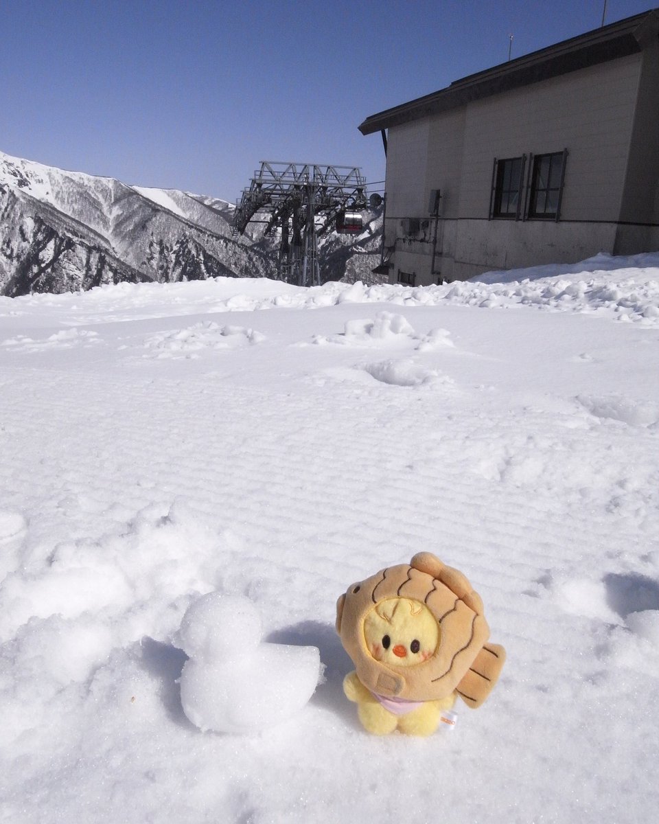 taecyuki tweet media