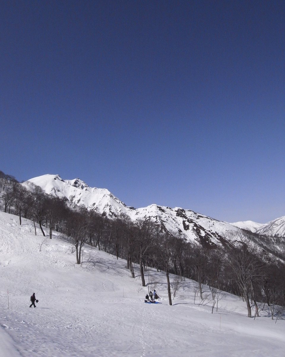 taecyuki tweet media