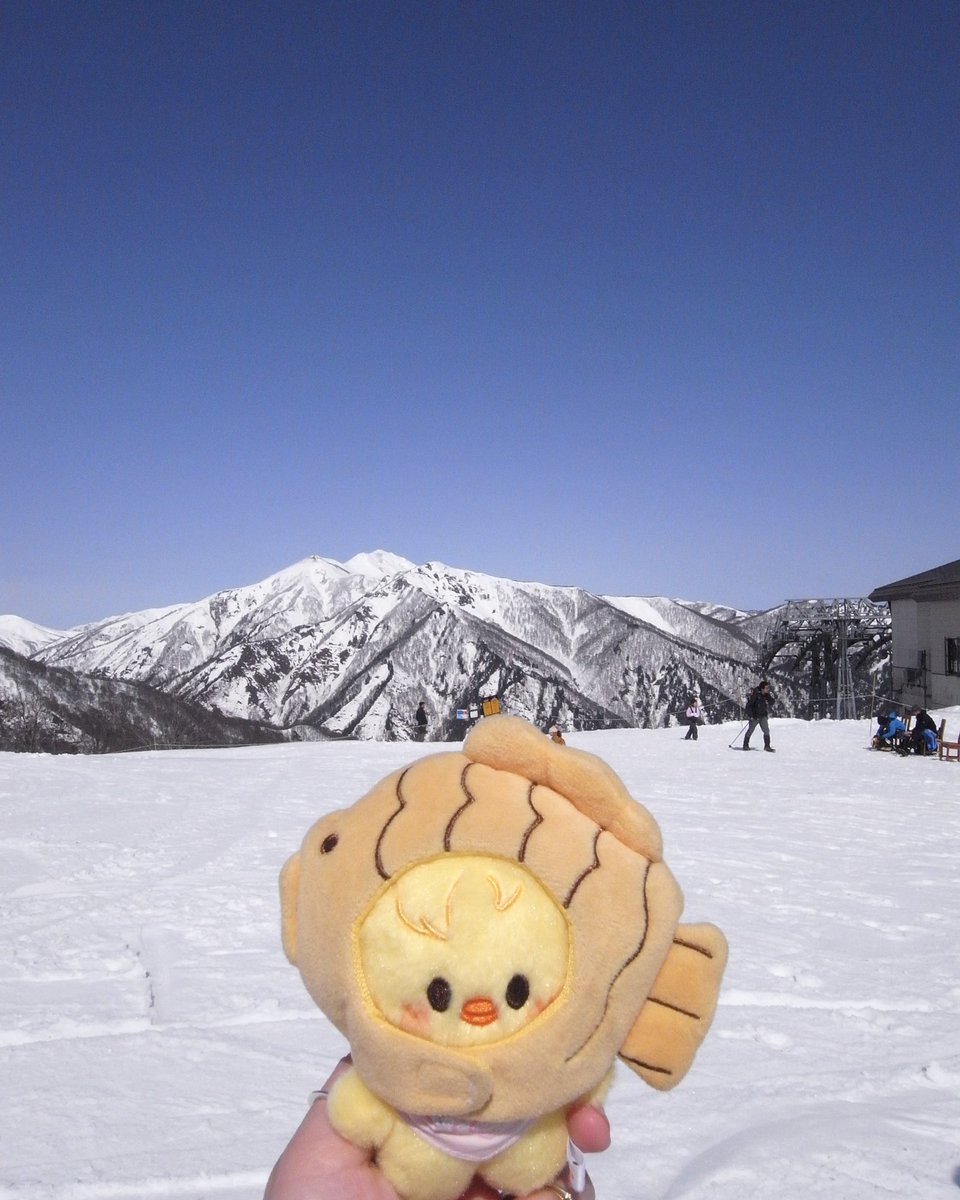 taecyuki tweet media