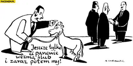 Vadien (@milkymarilyn) on Twitter photo 