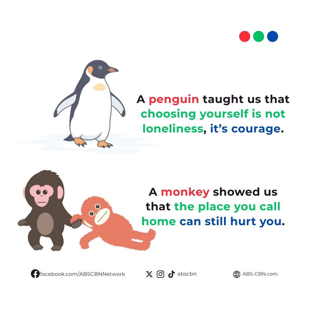 IncredibleCassy's tweet photo. January &amp; February '26 were wonderful. ✨
It was slow then it was fast. It was heart.❤️‍🔥
Cute animals imparting us with awe-inspiring life lessons. 🫂🌻🪽 https://t.co/PG5OKu3aB3