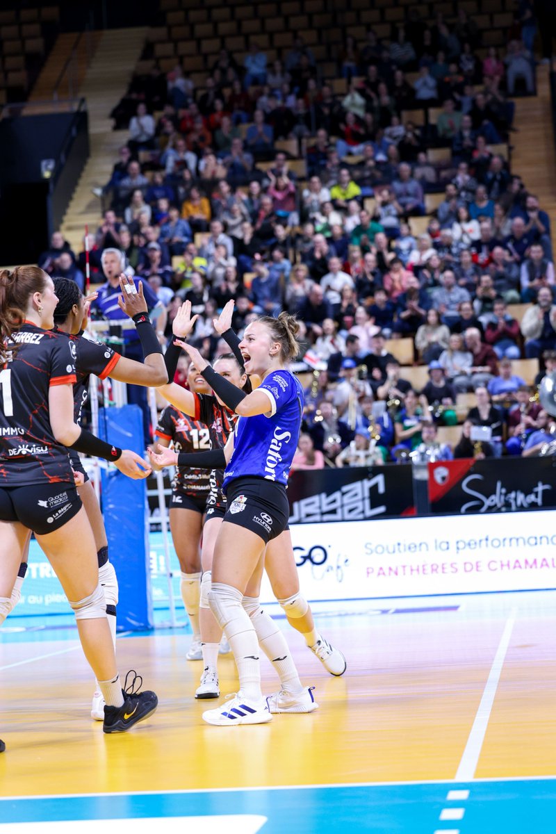 Volley-Ball Club Chamalières tweet media