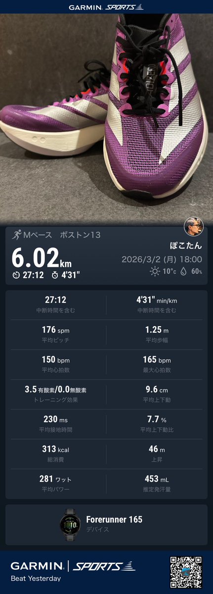 ぼっちランナーぽこたん tweet media