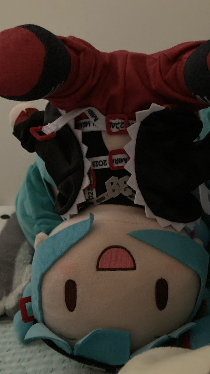 しぐあ/👊🌟📢 (@siguren_youkan) on X