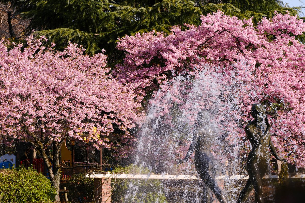 senchan@X-H2/X-E5 (@senchan_0323) / Posts / X