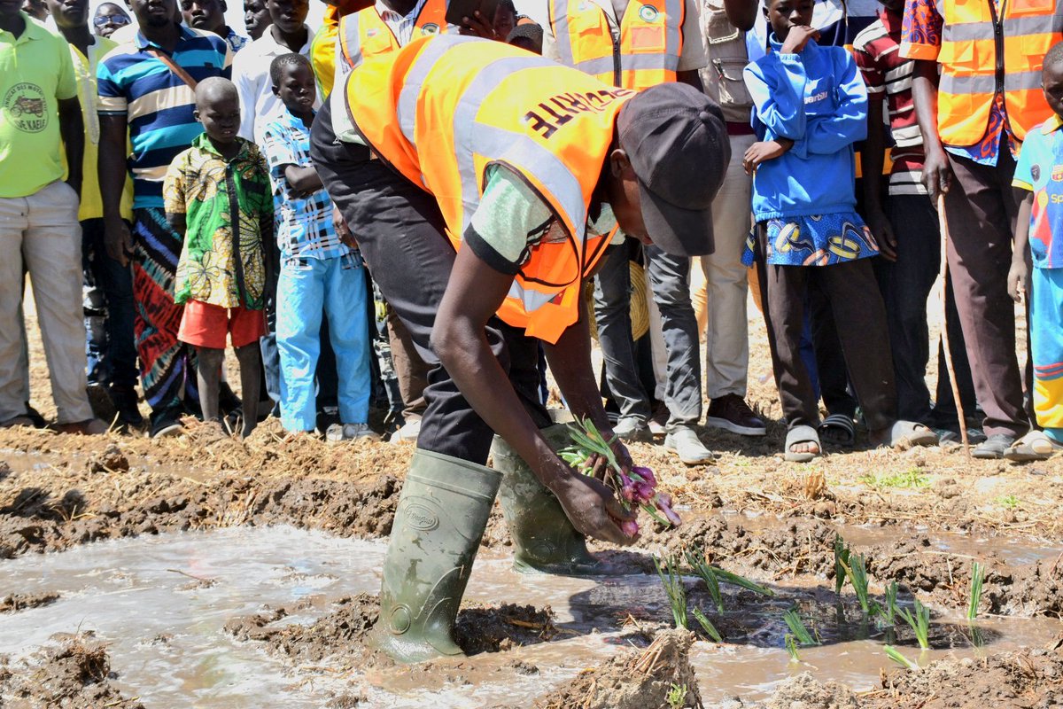 FAOCameroun's tweet photo. Au-delà de l’eau, la remise de matériel agricole soutient directement les organisations de producteurs, notamment de riz et d’oignons du Nord et l'Extrême-Nord.
Des outils plus adaptés pour mieux produire,mieux s’organiser et renforcer la résilience des communautés rurales.🌾🧅🤝 https://t.co/XQaxY10bX4