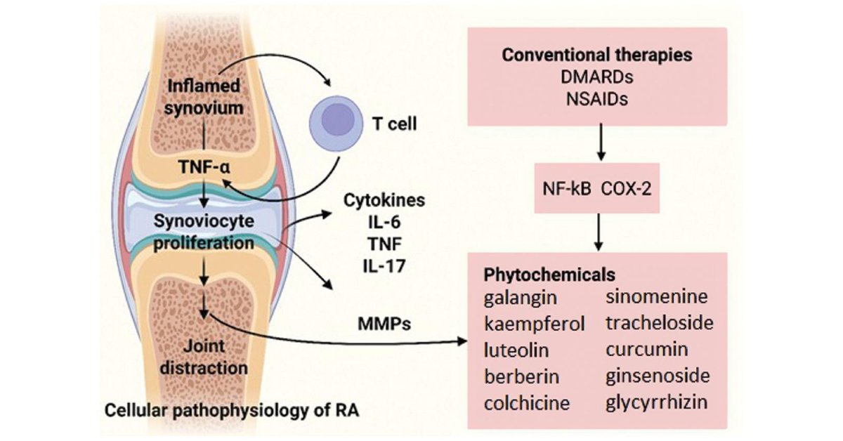 BIOIntegration tweet media