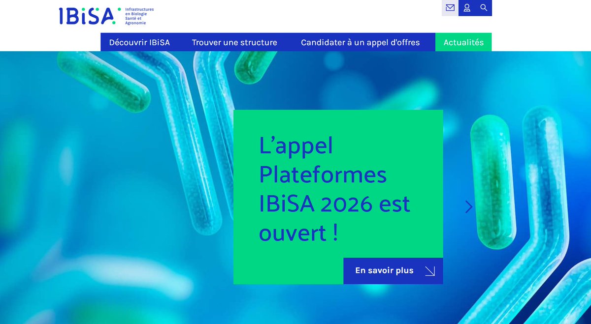 GIS IBiSA tweet media