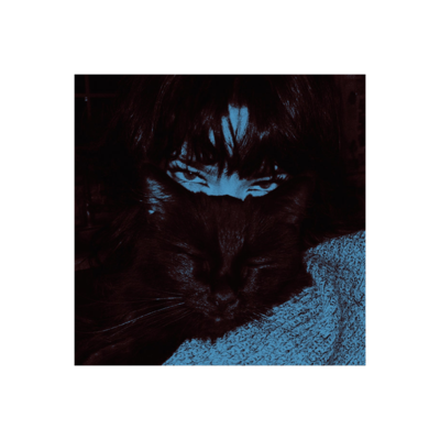 ⨵ ׄ 𓈒 𝐃𝐔𝐒𝐊𝐖𝐎𝐎𝐃 ⌕ ׅ ʾʾ tweet media