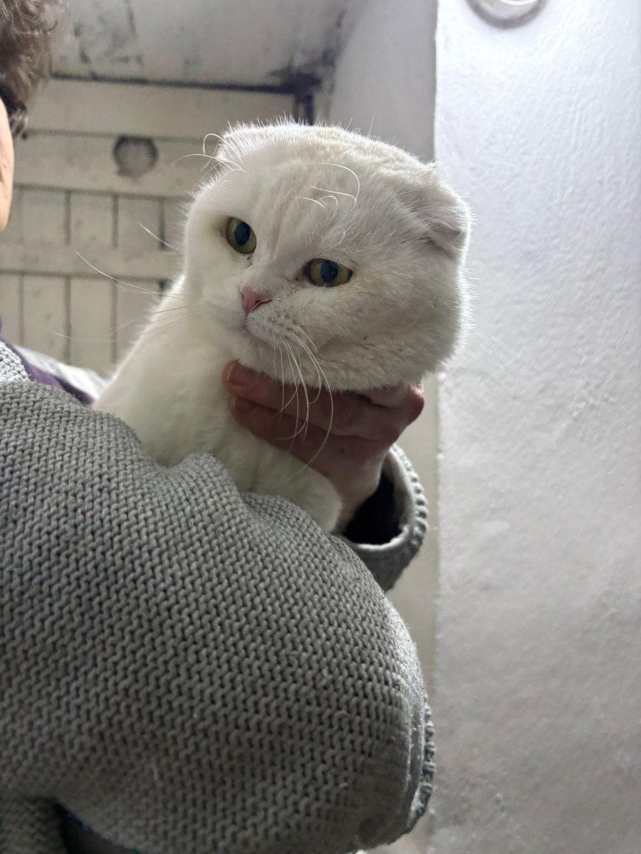 Gerçekten inanamıyorum, yarım saate sadece iki tane rt yapıldı.
Siz paylaşmazsanız yuva bulamaz.
Ömür boyu şu an içinde bulunduğu kafeste tutamam onu.