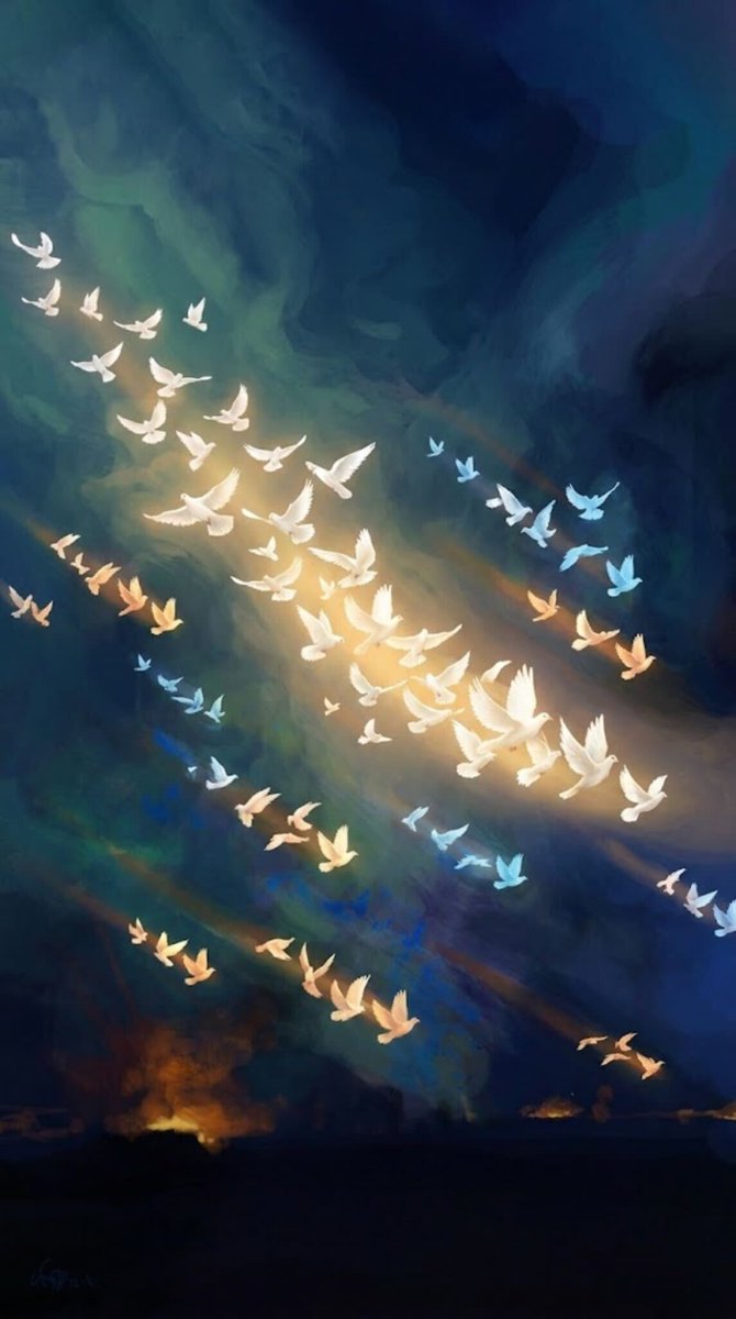 火币C2C甄选站 tweet media