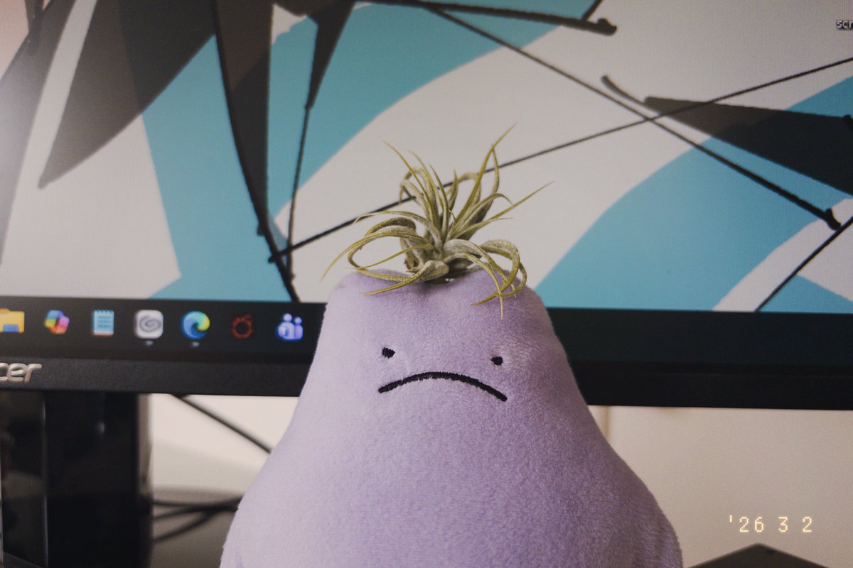 キナコ (@kamabokoita) / Posts / X