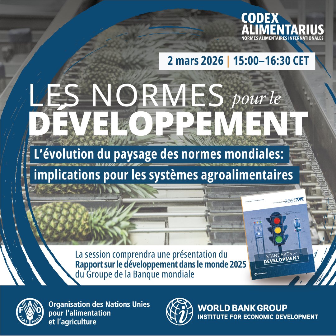 Banque mondiale AFR tweet media