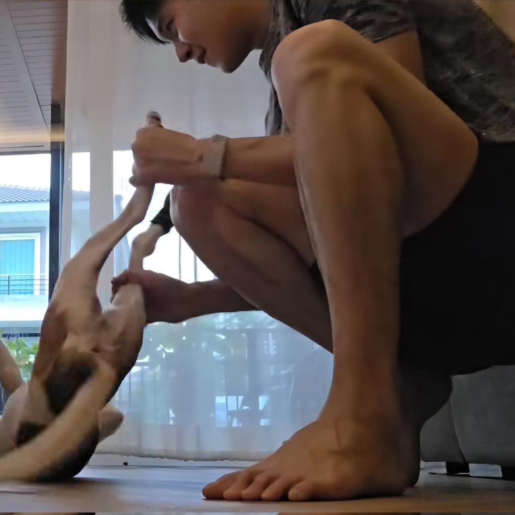 singleserenade's tweet photo. in the first #ananforscience of the year, we look at the cute Peroneus/Fibularis Longus which helps to bend the ankle upwards & twist the foot outward 🥰
likely visible here as yin might be twisting his ankle out to balancing on the inside of his sole 🥺
#หยิ่นวอร์ #yinyin_anw https://t.co/VLJszdCBEb