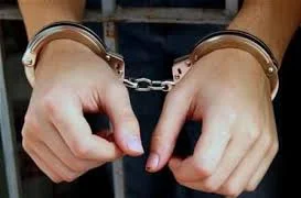 कटनी में चीतल के अवैध शिकार मामले में तीन गिरफ्तार, फरार आरोपियों की तलाश जारी
deshbandhump.com/post/three-arr…
#katni #chitalpoaching #case #accuse #arrested