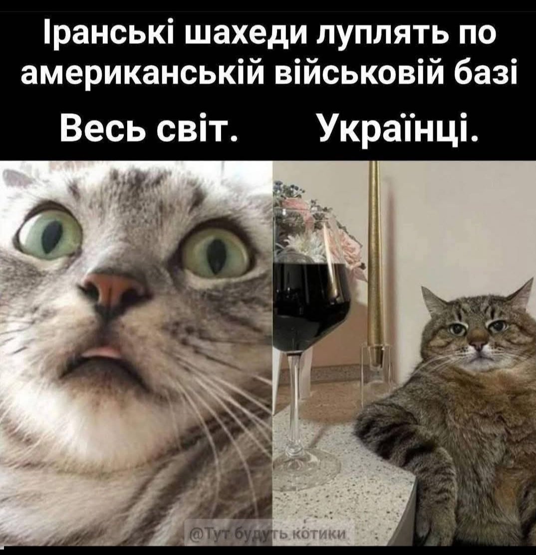 Elena Grygorieva tweet media