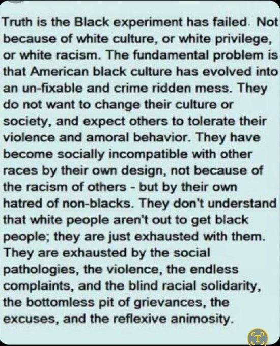 GingerchoCap 🦝💨🏴 tweet media