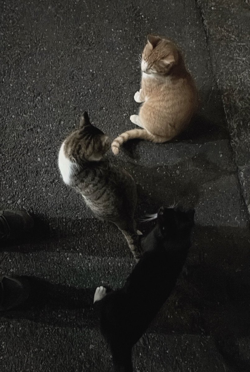 パンダ様＠隠居出来ない垢 (@superpachislo77) / Posts / X