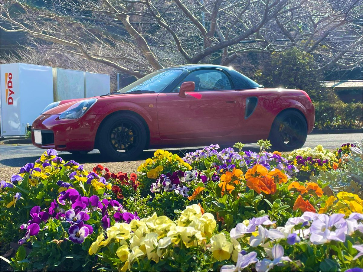mrstyper's tweet photo. 昨日は赤で伊豆を走って来ました。
今回は松崎で観光。なまこ壁がたくさん残っています。
結局、オール私の運転、程よい疲れ。
改めて1zzも楽し過ぎる。 https://t.co/GkdRdCTVeK