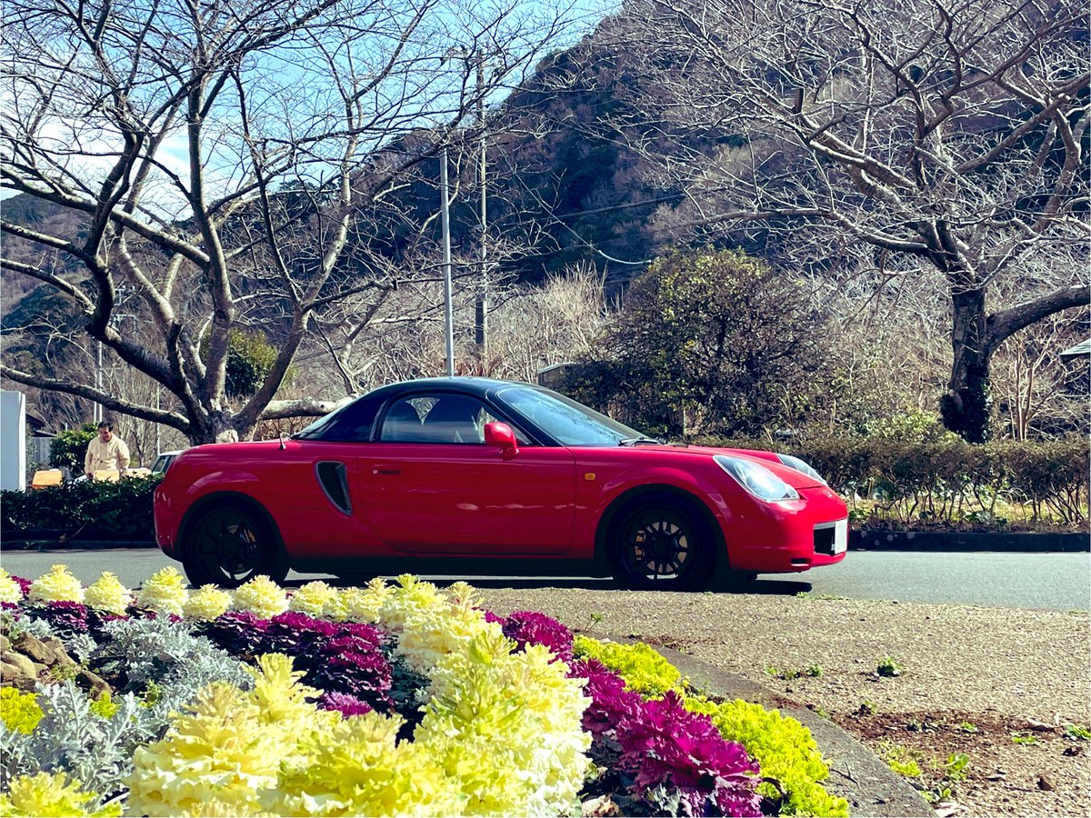 mrstyper's tweet photo. 昨日は赤で伊豆を走って来ました。
今回は松崎で観光。なまこ壁がたくさん残っています。
結局、オール私の運転、程よい疲れ。
改めて1zzも楽し過ぎる。 https://t.co/GkdRdCTVeK