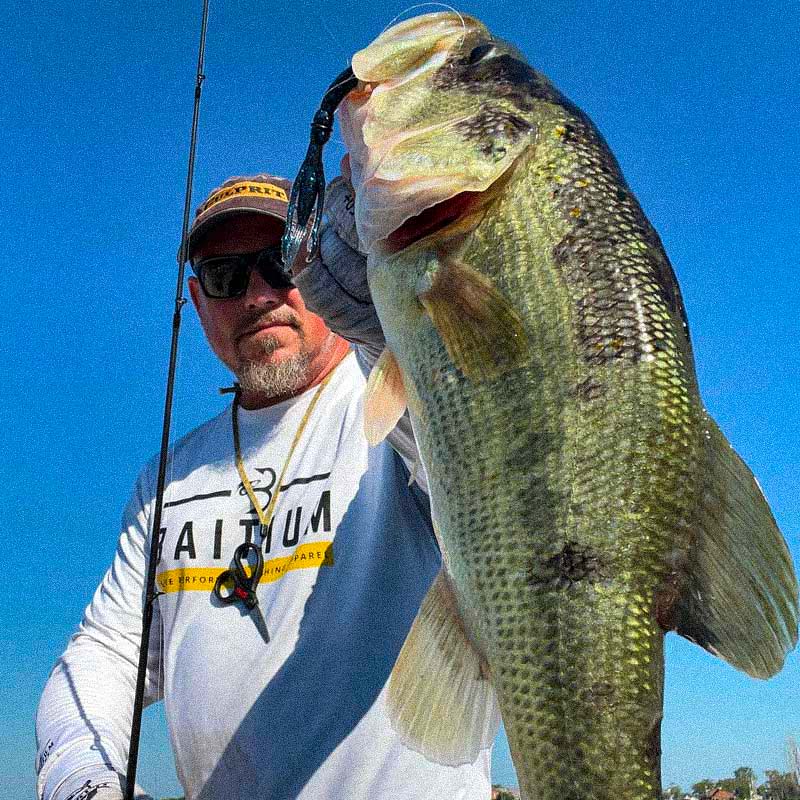 Culprit Fishing tweet media