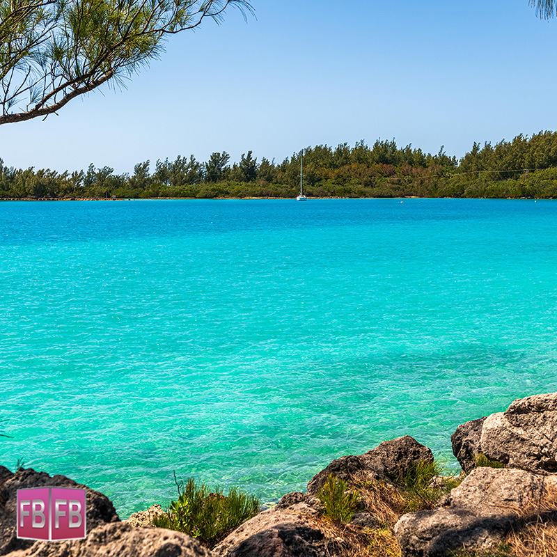 ForeverBermuda tweet media