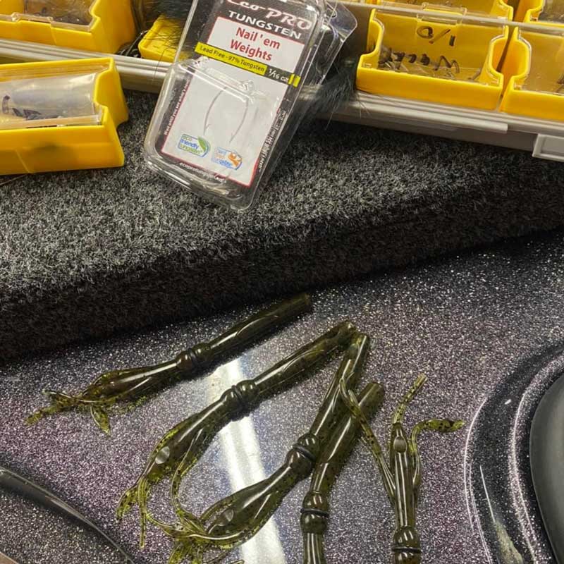 Culprit Fishing tweet media