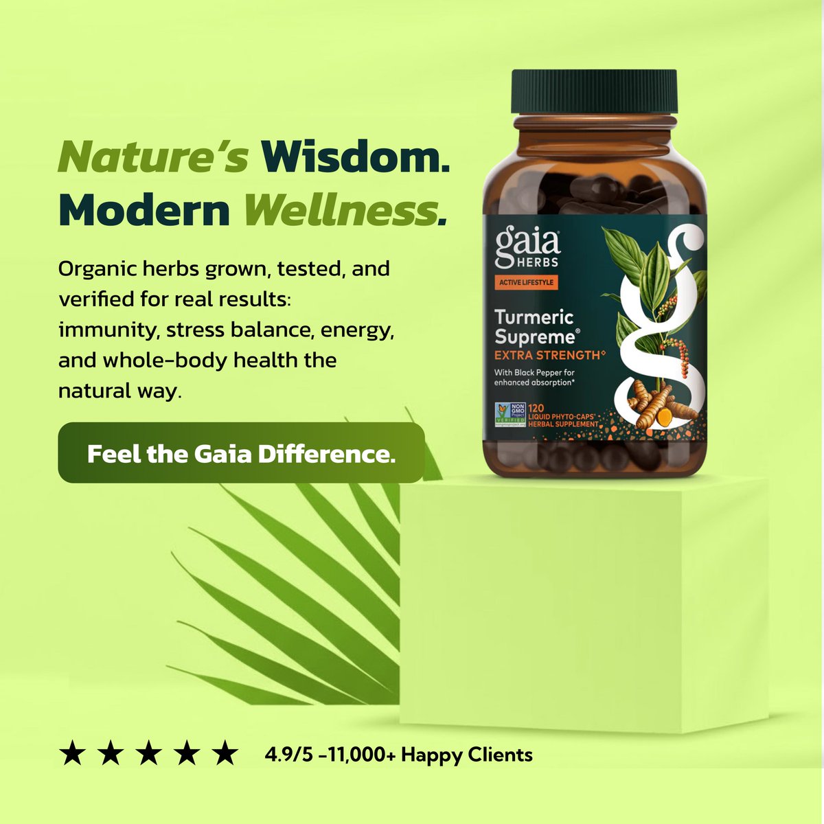 Najeem Abideen | Graphic Designer tweet media