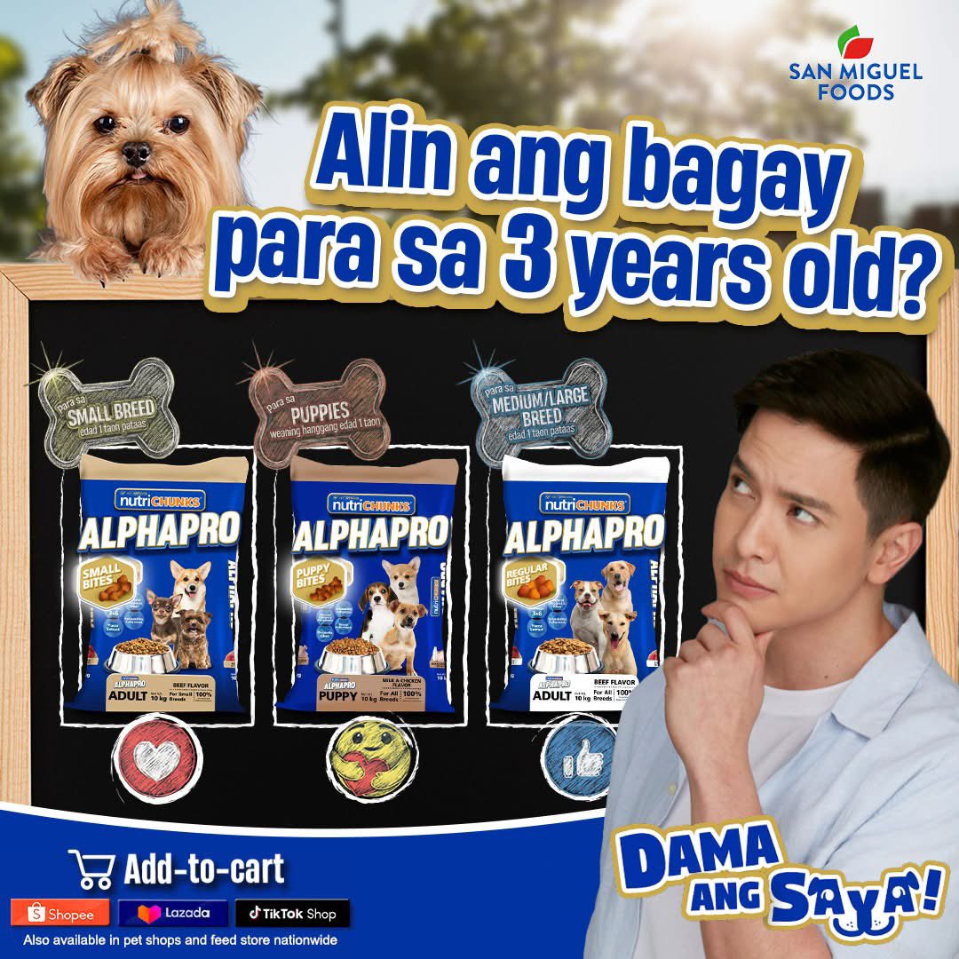 Sige nga, sagutin nyo ang tanong na ito, mga kaPETbahay...​

“Alin ang bagay na ALPHAPRO Dog Food sa alagang 3 years old na small breed?” 🧐​

#AlphaPro​
#DamaAngSaya​
#DogFood
#AldenRichards

📷alphapro fb