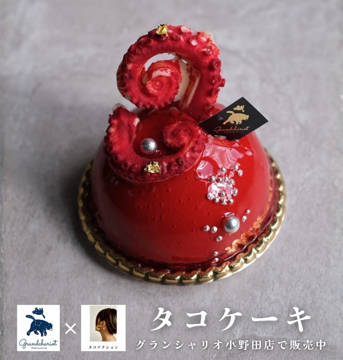 タコナクション 3/20-22 山口きらら｜本物のタコを型取り