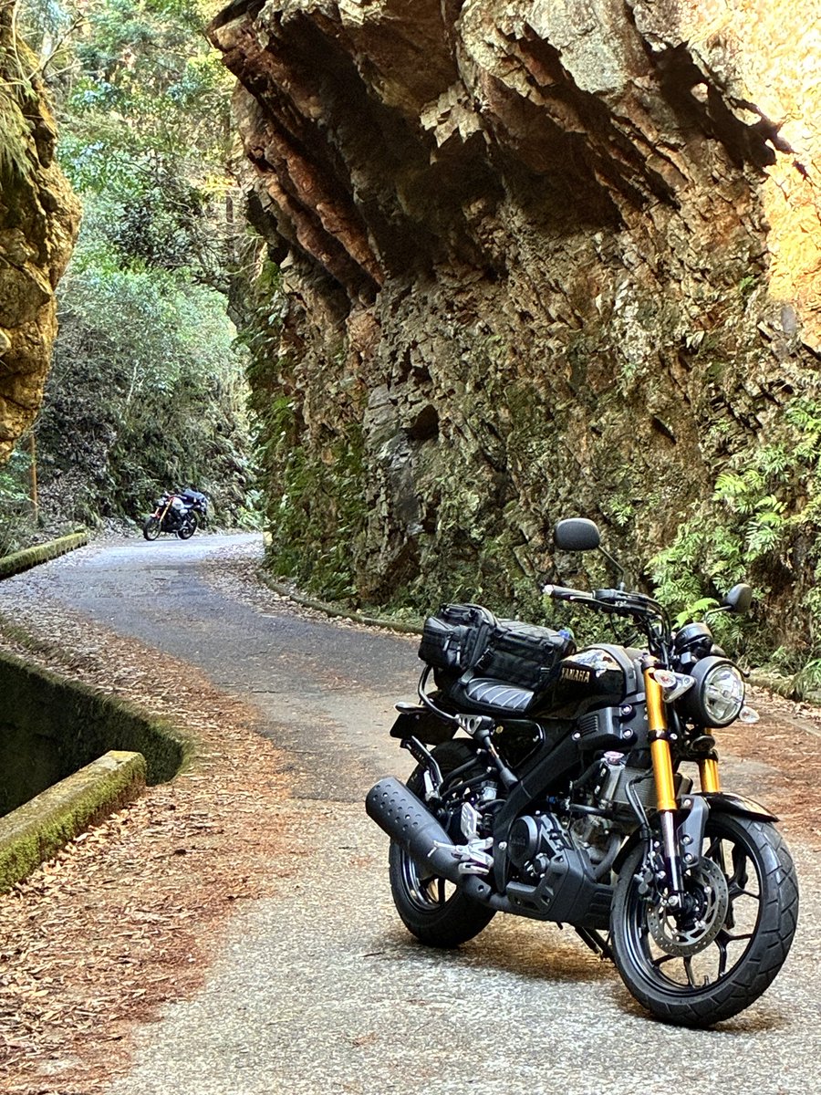 プイプイ⭐︎ tweet media